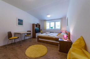 Apartmán Lipno 20